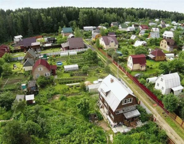 Обязанности председателя взаимодействия с органами управления