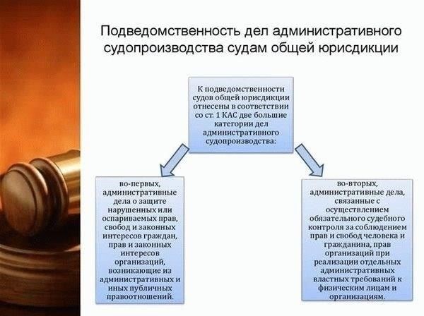 Предварительные судебные разбирательства