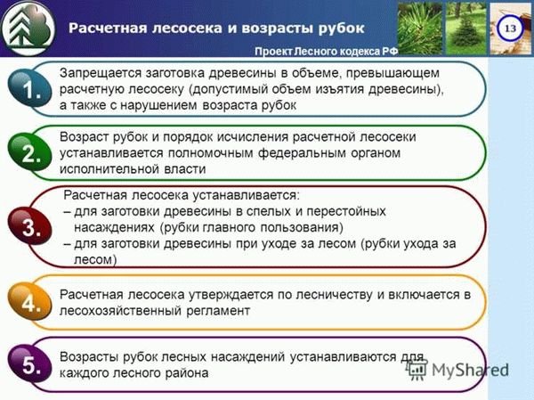 Основные принципы охраны природы в России