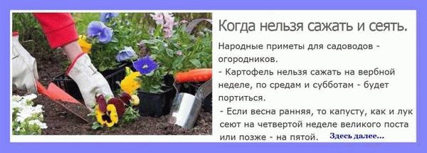 Как получить помощь при освоении земли