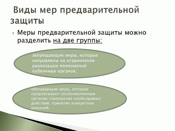 Кому подается заявление о применении мер предварительной защиты