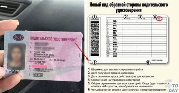 Период действия страховки и последствия ее окончания