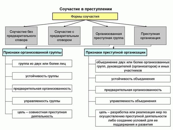 Соучастие и его отличие от подсобного преступления