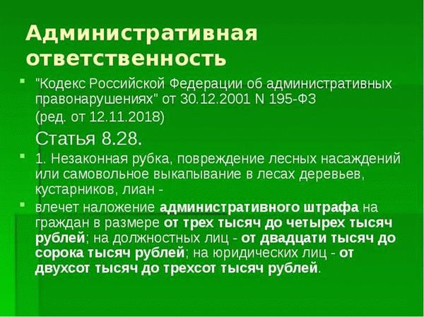 Уголовная ответственность, штраф за незаконную вырубку леса
