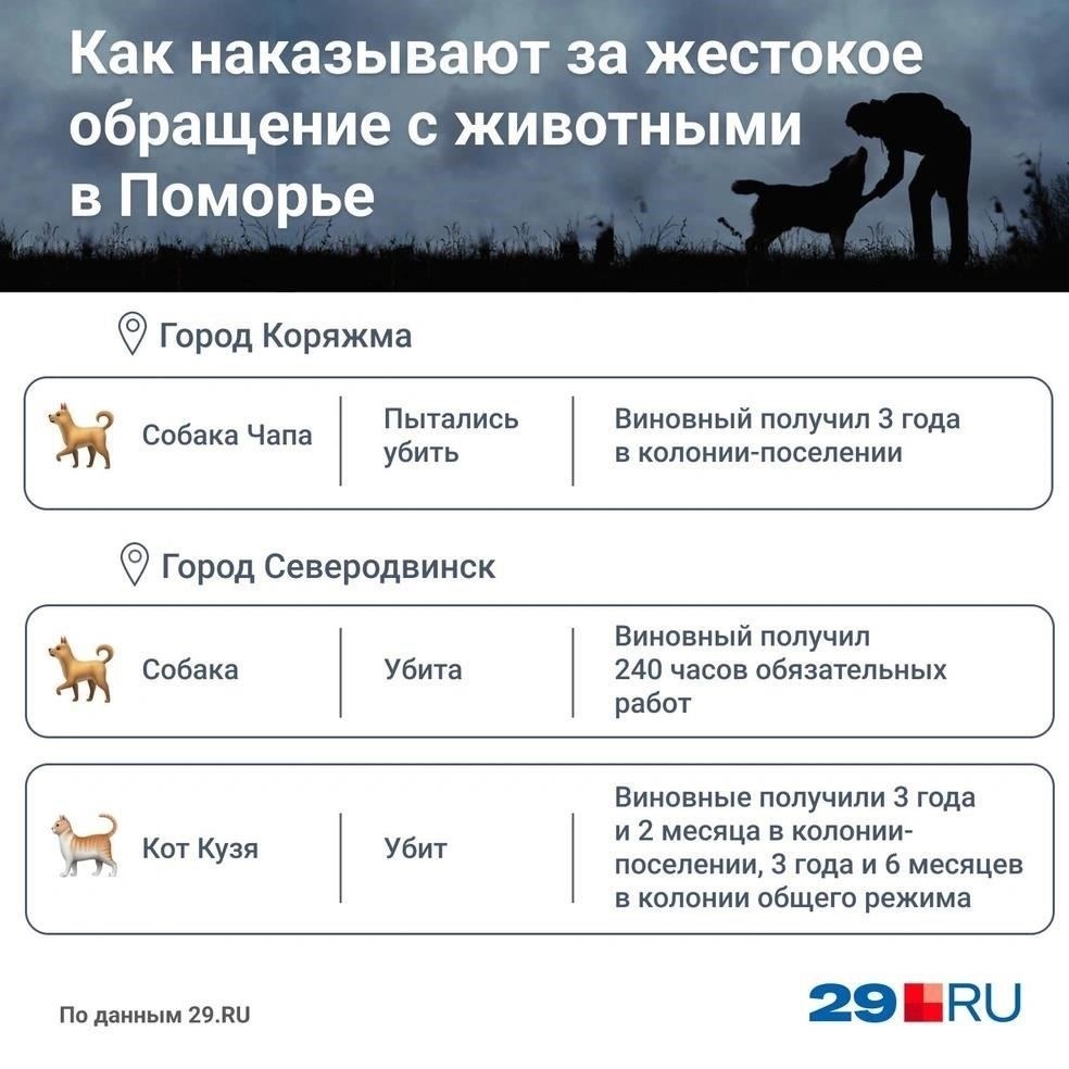 Уголовное наказание за жестокое обращение с животными в России