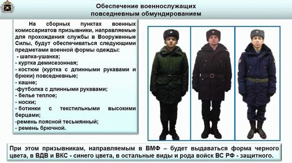 Берут ли в армию призывников с судимостью?