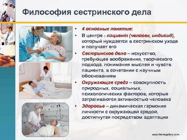 Кто имеет право на бесплатного работника социальной службы?