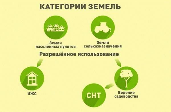 Правильный выбор растений
