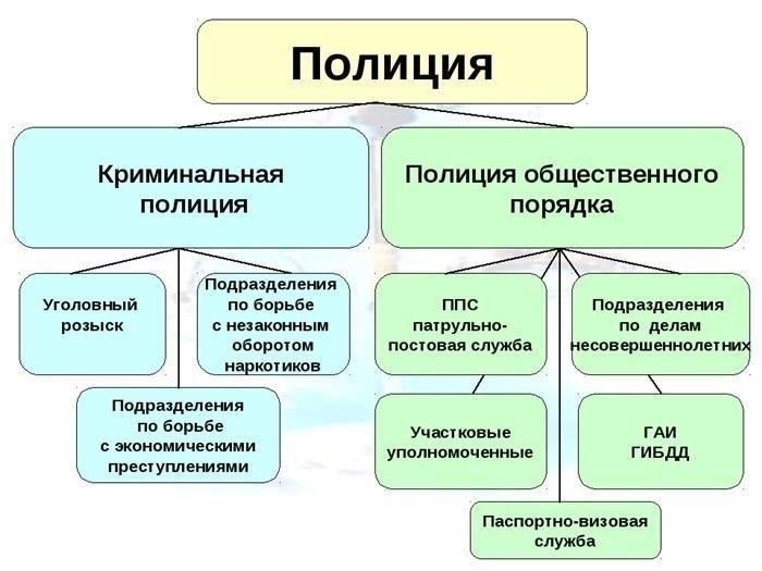 Виды деятельности, осуществляемые медицинским учреждением МВД в регионе