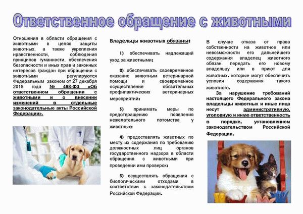 Выгул домашних животных должен осуществляться с соблюдением санитарно-эпидемиологических норм и правил