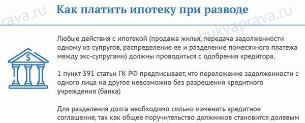 Как поделить квартиру, если семья не добавляла собственных денег