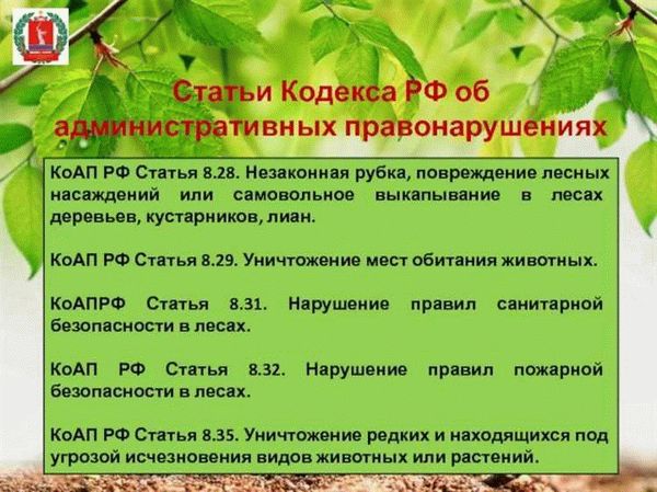Как получить разрешение на спил дерева?