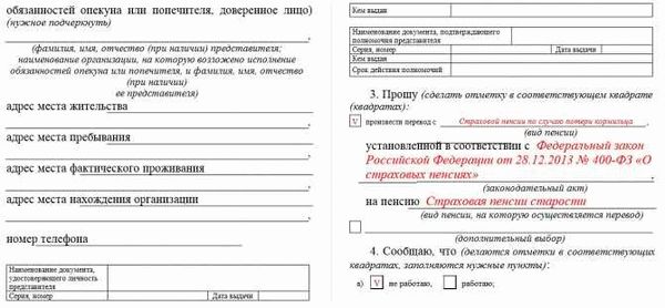 Как пенсионеру получить копию своего выплатного дела в ПФР и что в нем проверить